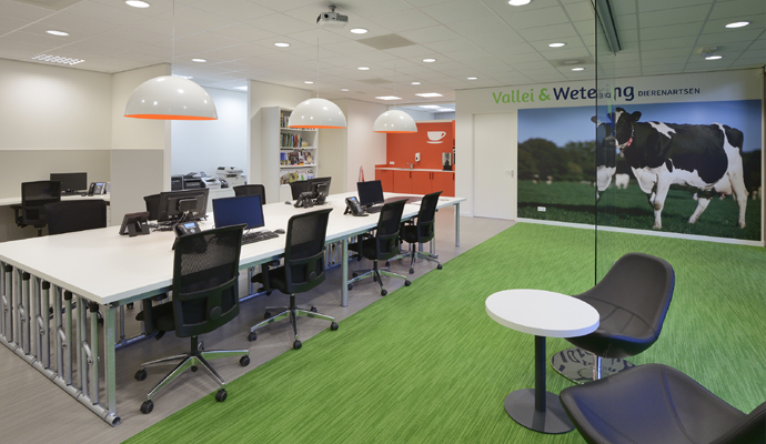 Design intérieur pratique vétérinaire : Wetering - 