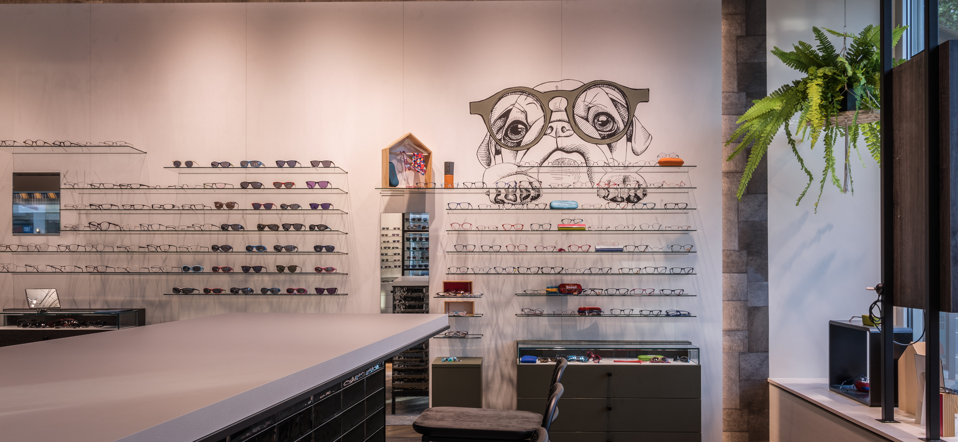 Volz Optik | Heidelberg (DE) - Optique