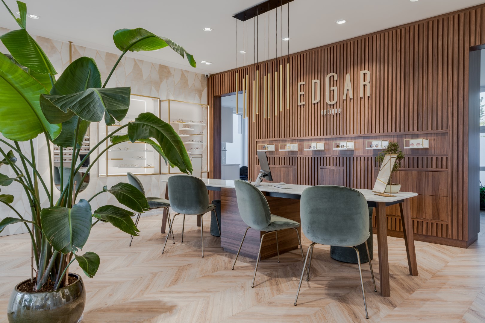 Edgar Optique | Waterloo (BE)