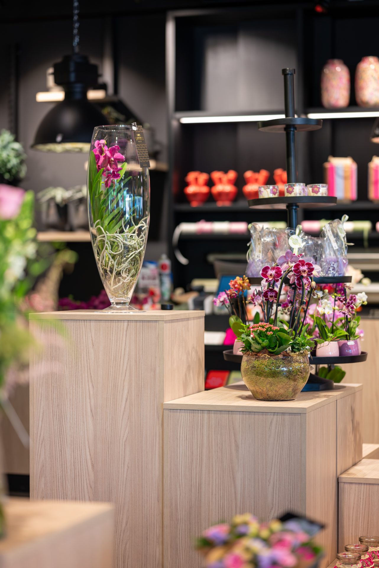Van Beest Bloemen en Planten | Vathorst (NL) - 