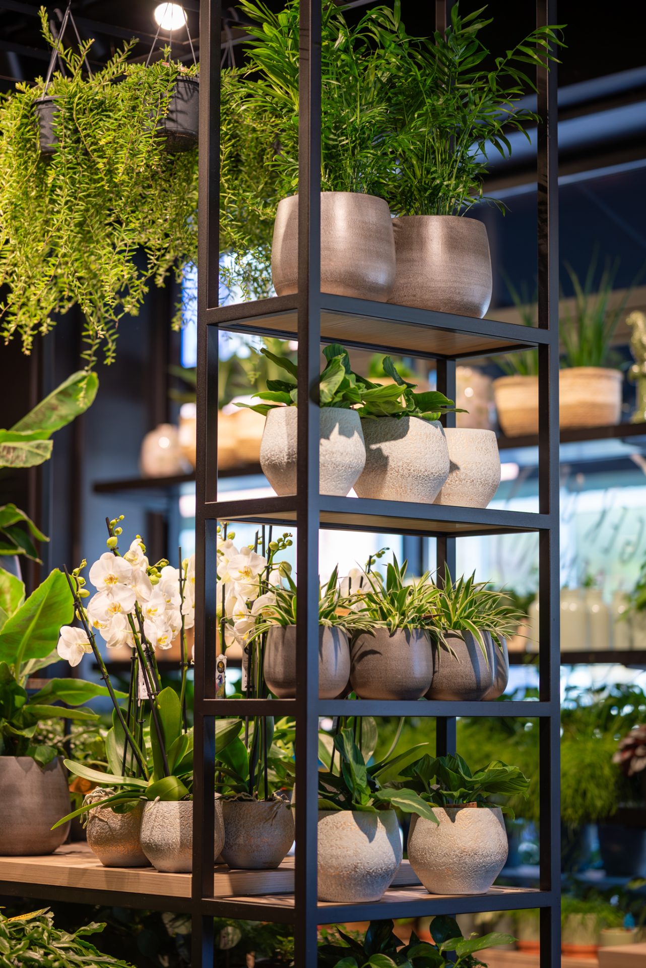 Van Beest Bloemen en Planten | Vathorst (NL) - 