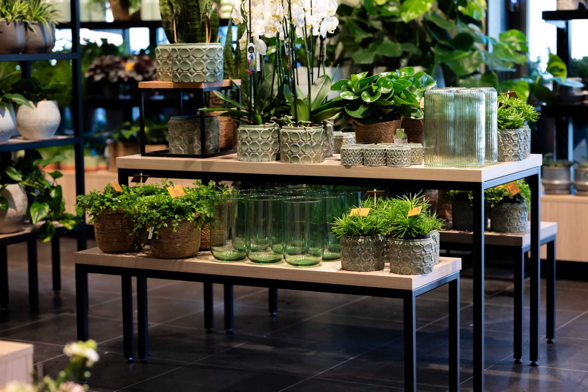Van Beest Bloemen en Planten | Vathorst (NL) - 