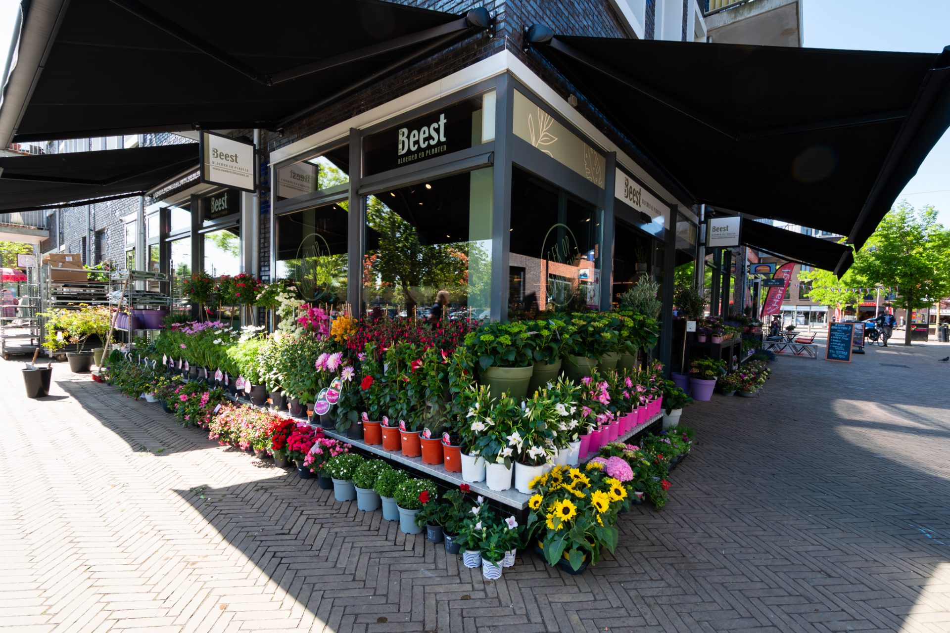 Van Beest Bloemen en Planten | Vathorst (NL) - 