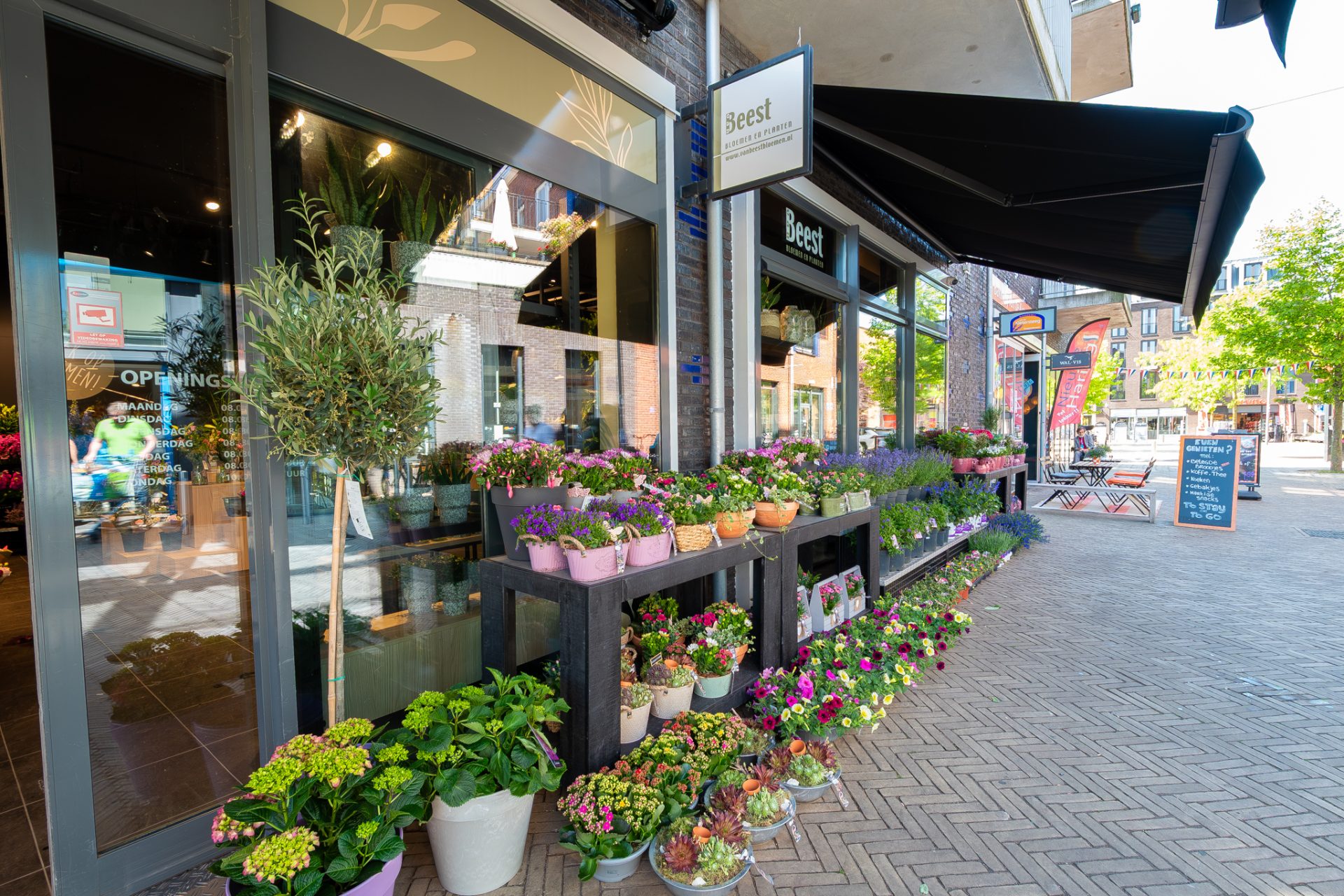 Van Beest Bloemen en Planten | Vathorst (NL) - 